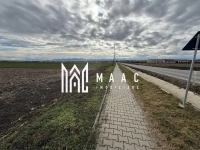 Teren intravilan | 9600 mp | Șură Mică | Utilități | Drum Asfaltat - foto 3