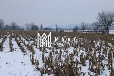 Fermă agricolă funcțională | Vurpar | 1.200 mp construiți | Utilaje disponibile - foto 32