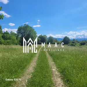 Teren I Constructie I izvor apă minerală  Dangești I 2 Hectare - foto 2