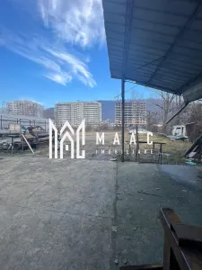 Hala | 380 MP | Teren 800 MP - foto 2