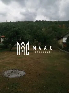 Teren Intravilan 10.000 mp | Livadă + Pădure de salcâm | Bărbătești - foto 2
