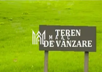Teren montan | 6.043 Mp | Săliște - Saliste