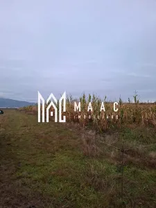 Teren Intravilan | 3900 MP | Tălmaciu - foto 2