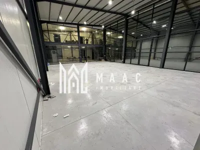 Hala | 250 MP | Teren 11.000 mp | - foto 7