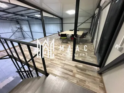 Hala | 250 MP |  Teren 3900 MP | - foto 5