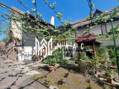 Casa 6 camere I 250MPU | 867MP Teren | Turnisor - Sibiu
