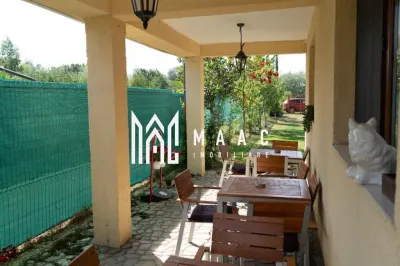 Vilă superbă | 4 camere | 500 mp teren | Vedere la munte | Valea Avrigului - foto 33