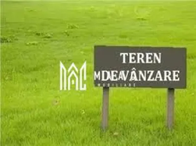Teren Intravilan I 4129 MP I Gura Raului - Gura Raului