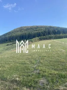 Teren Intravilan I 4129 MP I Gura Raului - foto 2