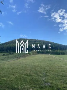 Teren Intravilan I 4129 MP I Gura Raului - foto 3