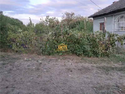 Casă cu teren 1.149 mp, vie și pomi fructiferi - Nicolae Bălcescu - foto 2