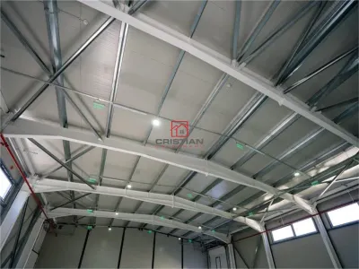 Inchiriere depozit/hala/spatiu industrial/showroom Afumati - Doraly - DN2, ILFOV - foto 15