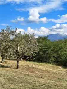 Teren la padure de vanzare Talmaciu Podu Olt - Talmaciu