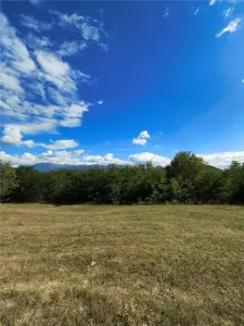Teren la padure de vanzare Talmaciu Podu Olt - foto 2