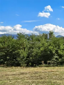 Teren la padure de vanzare Talmaciu Podu Olt - foto 12