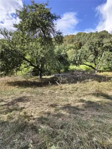 Teren la padure de vanzare Talmaciu Podu Olt - foto 10