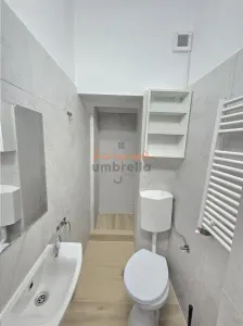 DE INCHIRIAT ap 2 dormitoare+2 bai , decomandat,ultracentral, 530 euro - foto 12