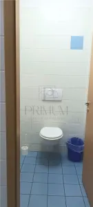 Spatiu comercial cu vitrina - Aradului - foto 5