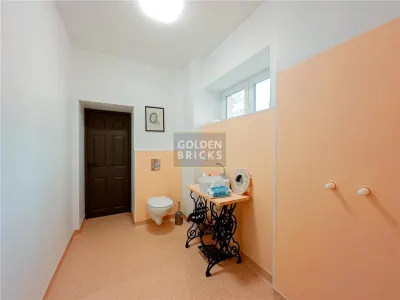 Stefan cel mare| Bucur Obor | Spatiu in vila reprezentativa - foto 5